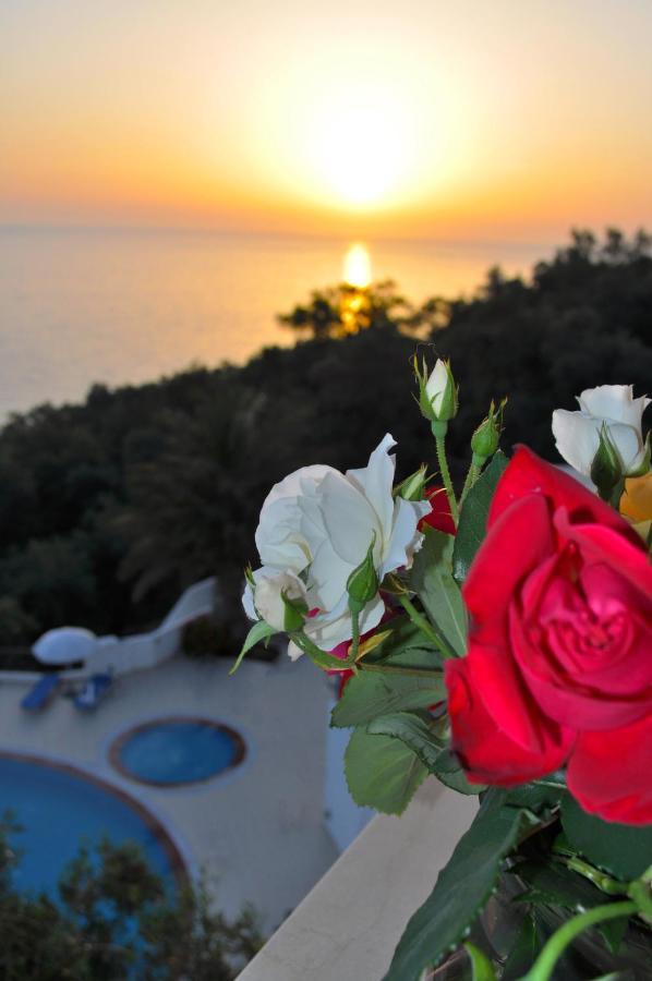 Holiday Apartments Maria With Pool And Panorama View - Agios Gordios Beach Экстерьер фото